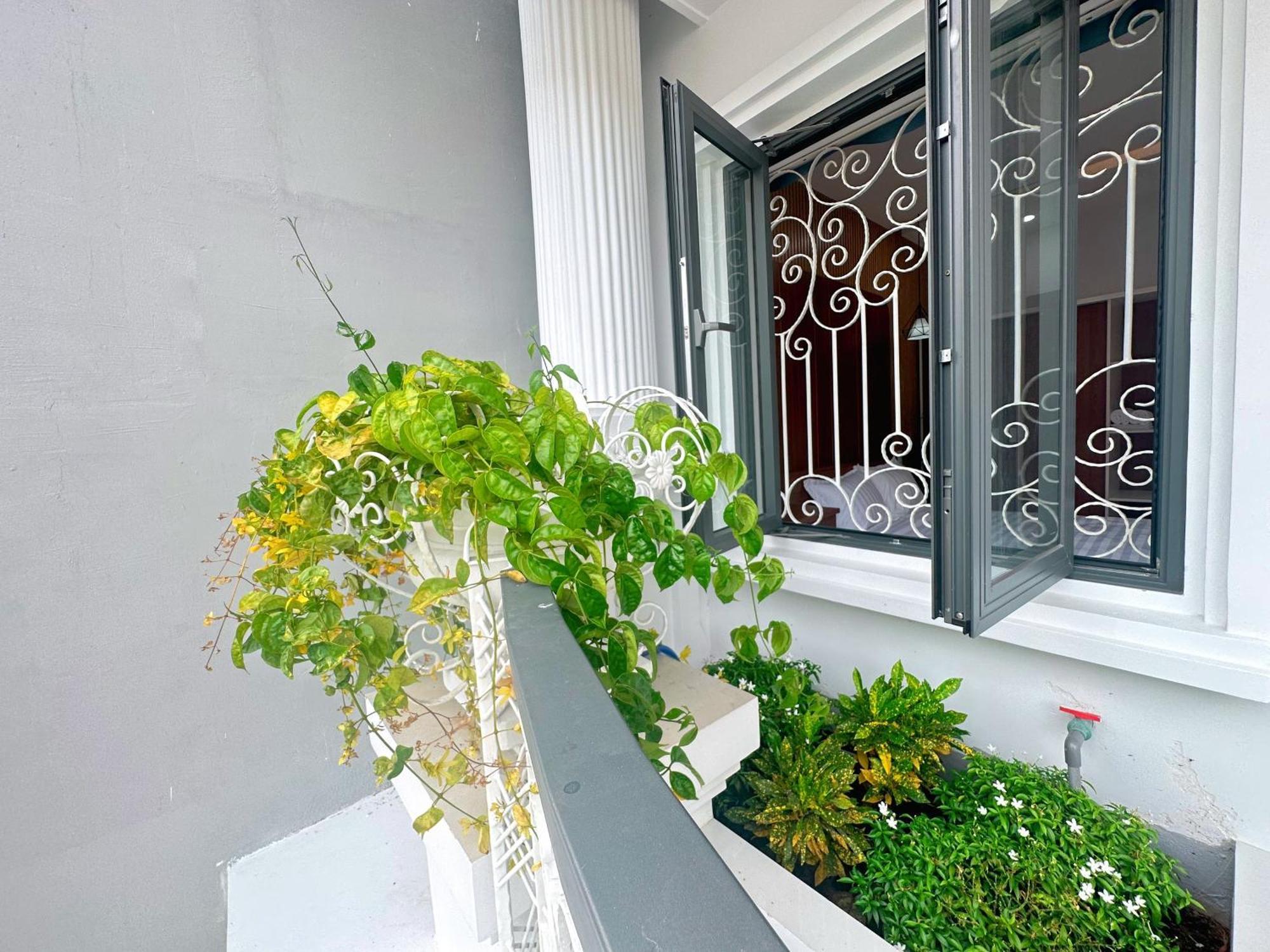 וונג טאו Milan Homestay - Milanesa Hotel And Apartment מראה חיצוני תמונה